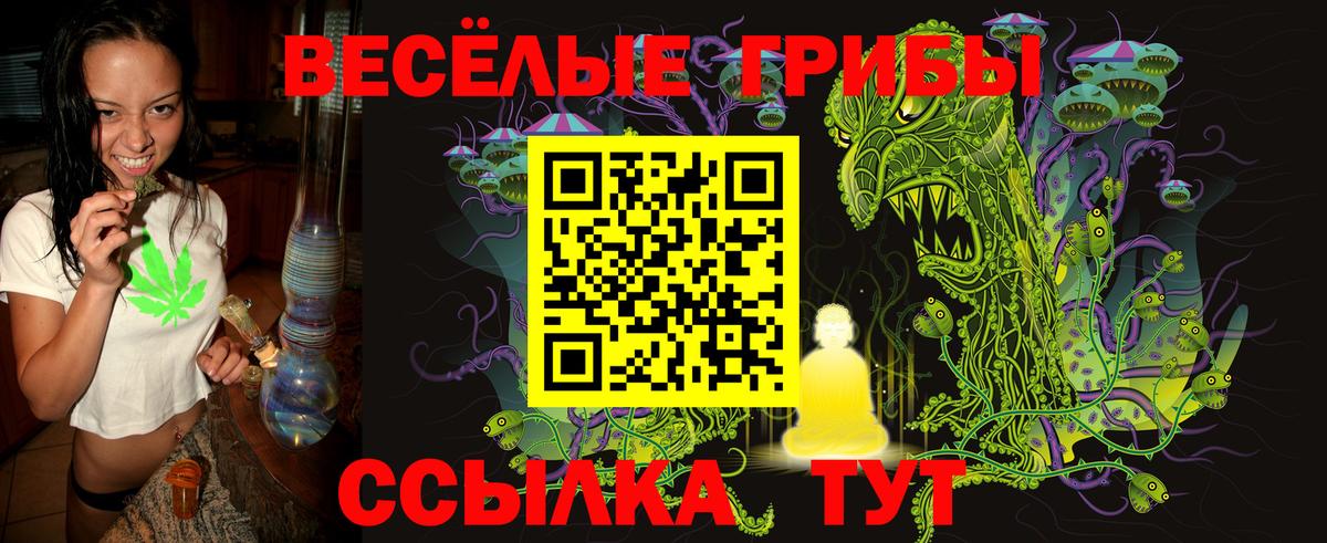 как найти   Псилоцибиновые грибы Psilocybe  Вход с VPN  Галлюциногенные грибы мухоморы  Тобольск 